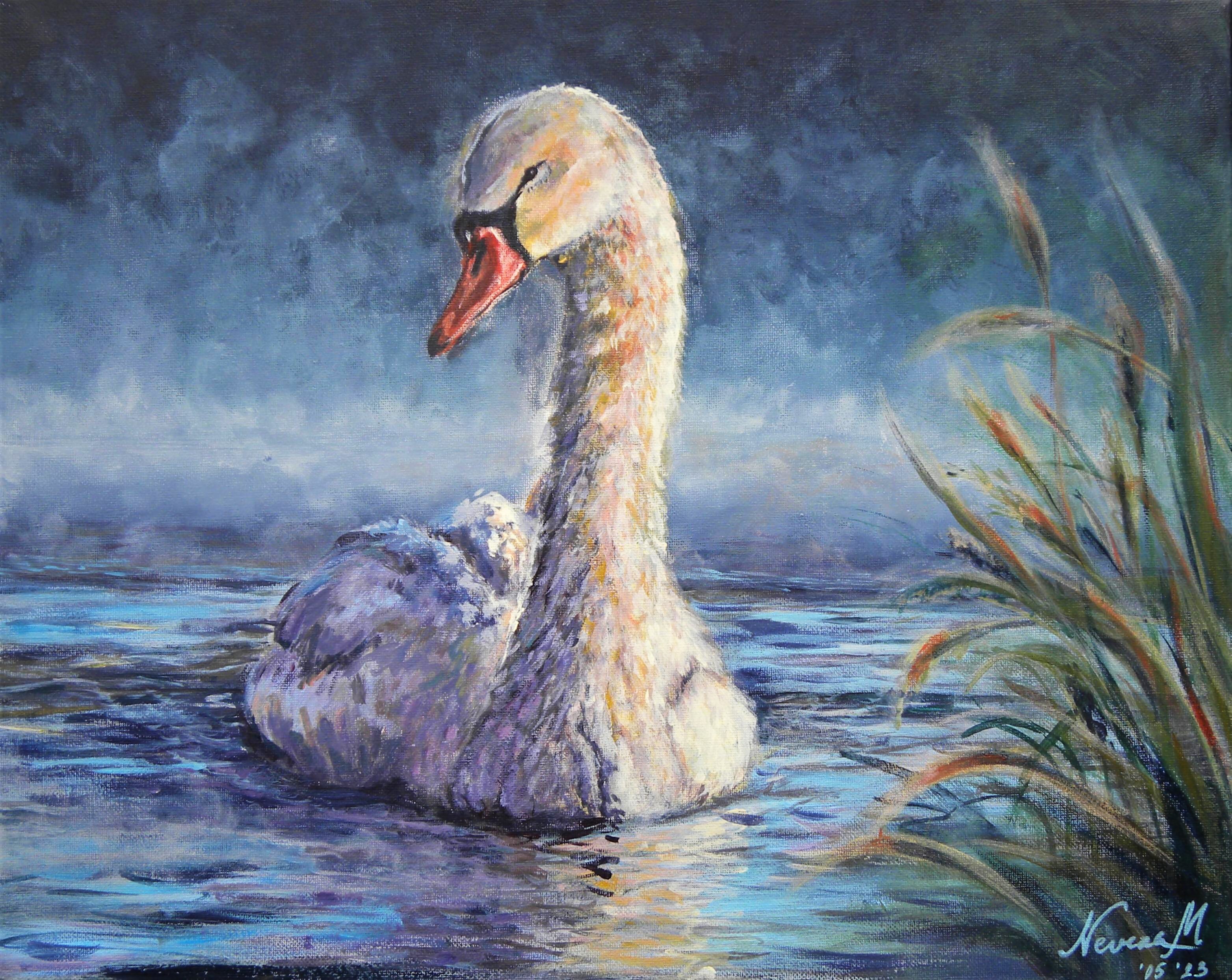 Swan